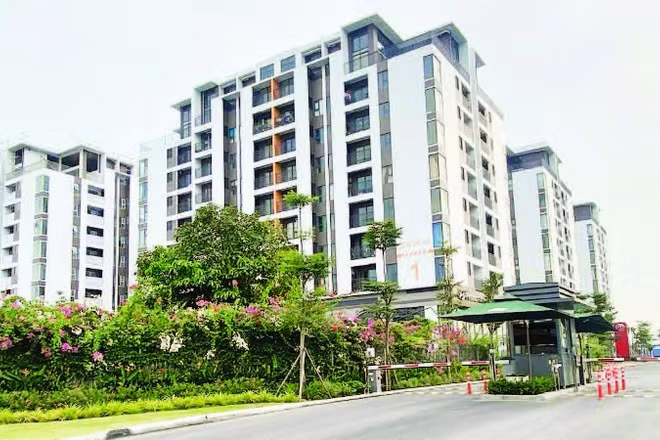 Một dự án nhà ở xã hội ở Quận 7 (cũ) vừa hoàn thành và đưa vào sử dụng.