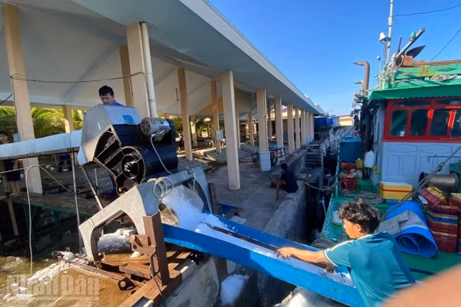 Huế rà soát, chấn chỉnh để cùng ngư dân cả nước gỡ cảnh báo "thẻ vàng" IUU của Ủy ban châu Âu (EC)