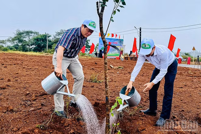 Các đại biểu tham gia trồng cây, góp phần tạo cảnh quan xanh-sạch-đẹp cho khu vực trung tâm xã Măng Đen.