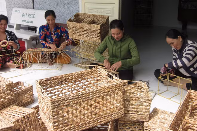 Phụ nữ thành phố Cần Thơ vay vốn Ngân hàng chính sách xã hội phát triển nghề đan đát, tăng thu nhập, ổn định cuộc sống.