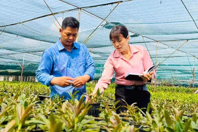 Cán bộ khuyến nông hướng dẫn các hộ kinh doanh áp dụng công nghệ vào phát triển nông nghiệp.