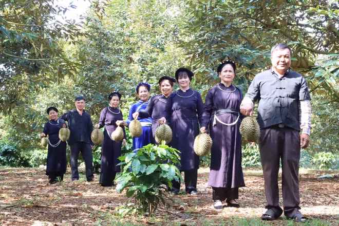 Lĩnh vực nông nghiệp, lâm nghiệp và thủy sản phát triển khá nhanh theo hướng chất lượng cao, bền vững, đóng vai trò “trụ đỡ” duy trì tốc độ tăng trưởng và mở rộng quy mô kinh tế của tỉnh.