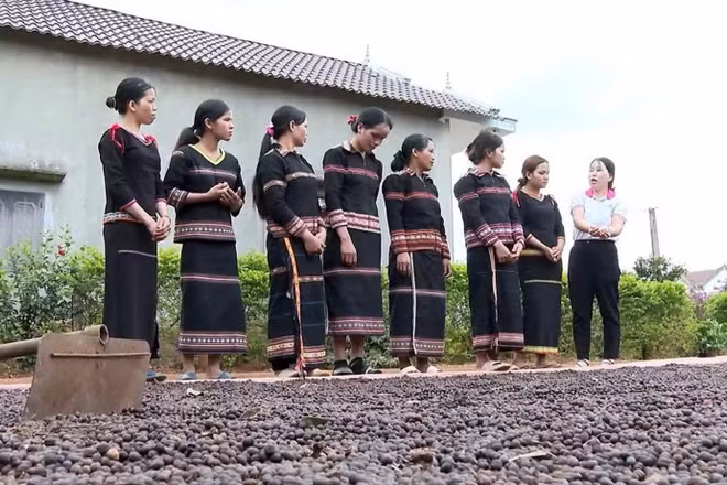 Tổ liên kết sản xuất, tiêu thụ cà phê làng Roh (xã Lơ Pang) trao đổi kinh nghiệm sản xuất.