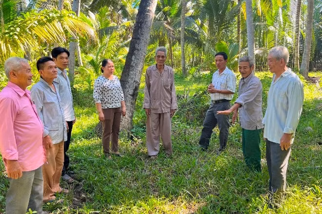 Vùng đất Tân Hào anh hùng trong kháng chiến giờ quyết tâm xây dựng, phát triển kinh tế.