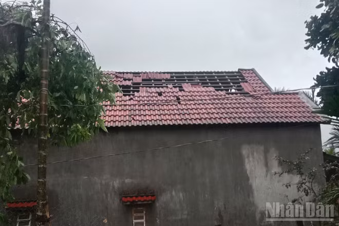 Trận lốc xoáy với cường độ mạnh bất ngờ quét qua khiến 116 ngôi nhà của người dân ở xã Ba Vì (Quảng Ngãi) bị hư hỏng.