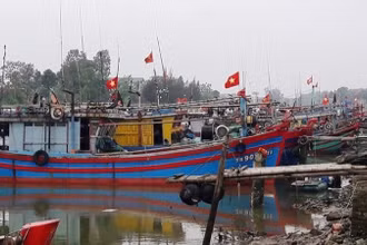 Nhiều tàu cá ở Thanh Hóa đã vào nơi neo đậu, tránh bão.