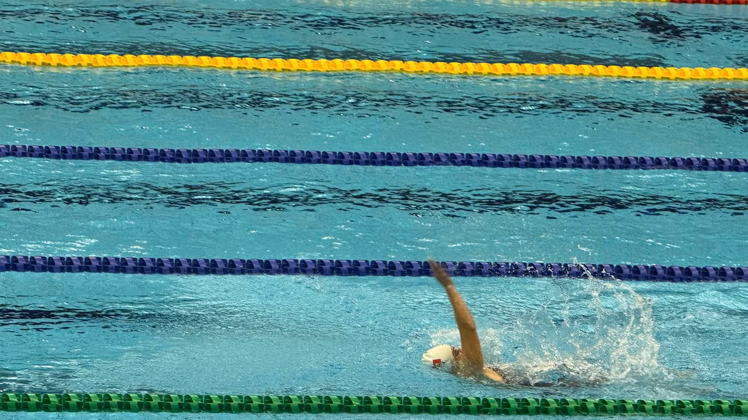 1792405628055-1858700062761721534-4245568083430317470-62b86f1cb64f18830308a70a50353d02-8139.jpg