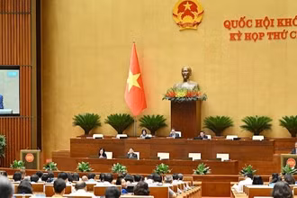 Quốc hội làm việc tại hội trường. (Ảnh: THỦY NGUYÊN)