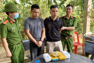 Hai đối tượng mua bán, vận chuyển ma túy bị bắt giữ.