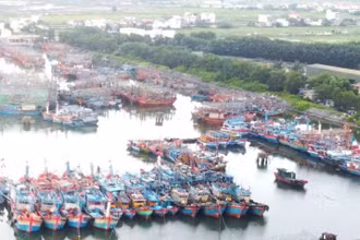 Tàu thuyền neo đậu ở khu neo đậu tránh trú bão sông Gianh, huyện Bố Trạch, tỉnh Quảng Bình.