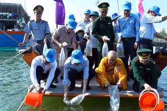 Đại diện lãnh đạo tỉnh Quảng Bình và các đại biểu thả các loại giống thủy sản xuống sông Nhật Lệ. (Ảnh: HƯƠNG GIANG)