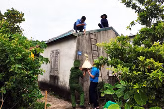 Các lực lượng hỗ trợ người dân trên đảo Cô Tô (Quảng Ninh) chằng chống nhà cửa. (Ảnh QUANG THỌ)