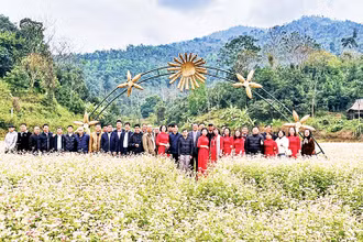 Du khách trải nghiệm cánh đồng tam giác mạch ở điểm du lịch cộng đồng Khuôn Tát, xã Phú Đình, huyện Định Hóa.