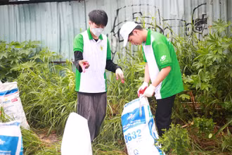 Sinh viên Trường đại học Mở Thành phố Hồ Chí Minh tham gia các hoạt động bảo vệ môi trường. 