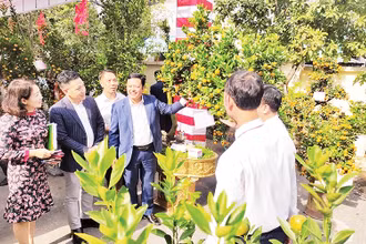 Ban Giám khảo trao đổi, thảo luận để tìm ra những tác phẩm xuất sắc trong Hội thi quất cảnh truyền thống Hà Nội 2024.