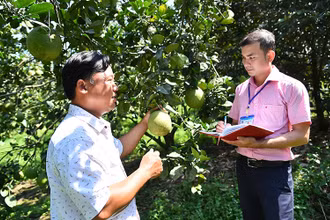 Cán bộ công chức huyện Bắc Tân Uyên (tỉnh Bình Dương) trao đổi kỹ thuật chăm cây ăn trái với người dân. (Ảnh MỸ HÀ)