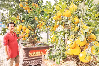 Anh Nguyễn Đặng Thành, chủ vựa hoa, cây cảnh Hưng Thịnh, thành phố Thủ Đức.
