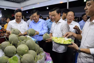 Các đại biểu tham quan gian hàng bày bán sản phẩm dưa lưới. (Ảnh: Mai Tú)