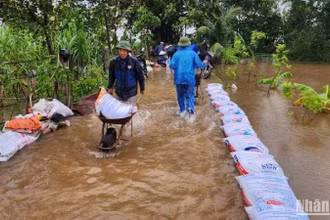 Huyện Vũ Thư (tỉnh Thái Bình) dồn sức chống úng ngập cho 75 ha lúa, hoa màu tại xã Xuân Hòa.