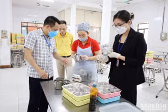 Chi cục An toàn thực phẩm tỉnh Thái Bình kiểm tra việc lưu mẫu và thực phẩm test nhanh dụng cụ đựng thực phẩm tại Công ty trách nhiệm hữu hạn May Lan Lan.