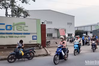 Đời sống của người lao động bị ảnh hưởng không nhỏ do hoạt động sản xuất, kinh doanh của các doanh nghiệp trên địa bàn tỉnh Thái Bình gặp khó khăn.