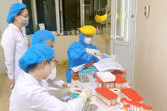 Nghị định 111 của Chính phủ về hợp đồng đối với một số loại công việc trong cơ quan hành chính nhà nước và đơn vị sự nghiệp công lập cho phép tuyển các hợp đồng chuyên môn, trước mắt tháo gỡ việc thiếu hụt nhân lực cho ngành y và ngành giáo dục hiện nay.