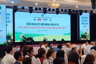 Hơn 200 đại biểu tham dự Diễn đàn tại đầu cầu tỉnh Thái Bình.