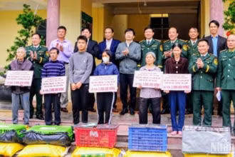 Hỗ trợ sinh kế 15 con gà đẻ cho mỗi hộ nghèo xã Đông Hoàng (Tiền Hải, tỉnh Thái Bình).