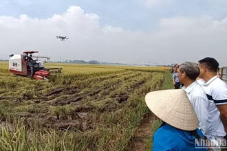 Chị Trần Thị Lanh, xã Bình Minh (huyện Kiến Xương, tỉnh Thái Bình) thuê, mượn 100ha ruộng đất, đầu tư nhiều máy móc hiện đại sản xuất nông nghiệp quy mô lớn. (Ảnh Mai Tú)