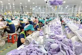 Số doanh nghiệp tăng nhanh tạo thêm nhiều việc làm cho người lao động vùng nông thôn tỉnh Thái Bình (Ảnh: Mai Tú)