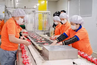 Hoạt động của các doanh nghiệp lớn như Công ty cổ phần Quốc tế Bảo Hưng có bước tăng trưởng khá và ổn định.