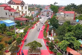 Một góc làng vườn Bách Thuận, huyện Vũ Thư (tỉnh Thái Bình).