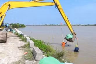 Huyện Tiền Hải (tỉnh Thái Bình) sử dụng xe máy cắm cừ tre để ổn định mái kè, chống sạt lở. (Ảnh TRÍ TUỆ)