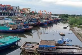 Tàu thuyền của ngư dân xã Thụy Hải, huyện Thái Thụy, tỉnh Thái Bình vào nơi tránh trú an toàn.