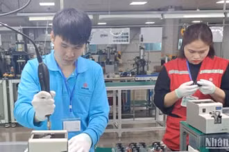 Thêm nhiều doanh nghiệp mới thành lập và đi vào hoạt động sẽ thu hút thêm việc làm, thu nhập cho người lao động.
