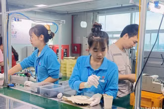 Các doanh nghiệp hoạt động trong lĩnh vực điện, điện tử ở Khu công nghiệp Liên Hà Thái (thuộc Khu kinh tế Thái Bình) đang rất cần lao động có trình độ tay nghề cao.