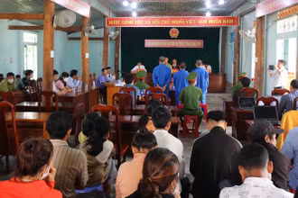 Quang cảnh phiên tòa.