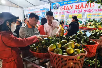 Trái cây của xã Ngọk Wang thu hút đông đảo người dân đến mua