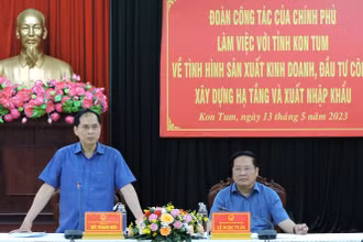 Bộ trưởng Ngoại giao Bùi Thanh Sơn phát biểu tại buổi làm việc.