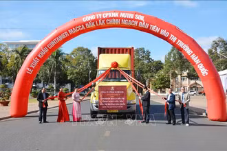 Container mắc ca Đắk Lắk chính ngạch đầu tiên xuất khẩu đi thị trường Hàn Quốc.