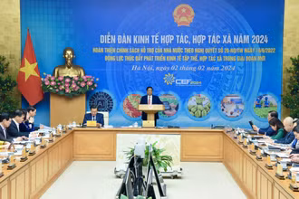 Quang cảnh Diễn đàn kinh tế hợp tác, hợp tác xã năm 2024.
