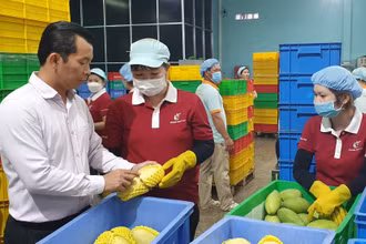 Gian nan bài toán xây dựng thương hiệu cho nông sản tại thị trường EU