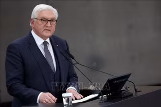 Tổng thống Đức Frank-Walter Steinmeier sẽ có chuyến thăm cấp Nhà nước tới Việt Nam trong hai ngày 23 và 24/1. (Ảnh: AFP/TTXVN) 