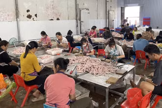 Các công nhân đang chế biến 2 tấn chân vịt không rõ nguồn gốc tại cơ sở chế biến của ông Phạm Văn Lâm ở thôn Đông Hợp, xã Đông Xá, huyện Vân Đồn, tỉnh Quảng Ninh.
