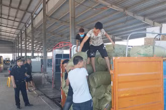 Hải quan Móng Cái kiểm soát việc bốc xếp hàng hóa tại Bãi Kiểm hóa Bắc Luân 2.