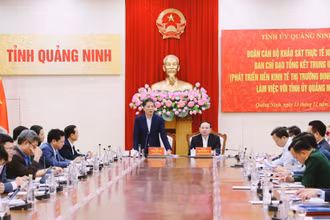 Đoàn khảo sát thực tế làm việc với Tỉnh ủy Quảng Ninh.