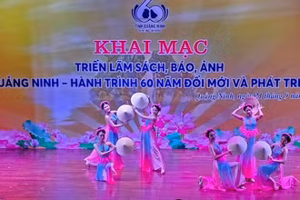 Chương trình nghệ thuật chào mừng khai mạc Triển lãm.