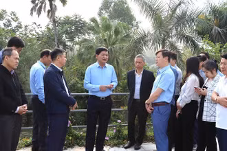 Đồng chí Lê Thành Đô (người giữa ảnh), Chủ tịch Ủy ban nhân dân tỉnh Điện Biên kiểm tra thực địa thi công tại Dự án quản lý đa thiên tai lưu vực sông Nậm Rốm.