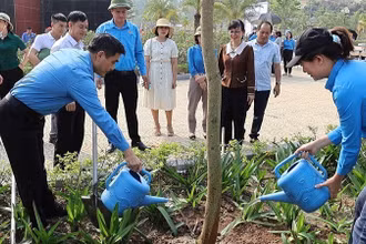 Hưởng ứng Tết trồng cây, cán bộ công đoàn cùng công nhân, người lao động thành phố Điện Biên Phủ trồng cây hoa ban trong Công viên Võ Thị Sáu.