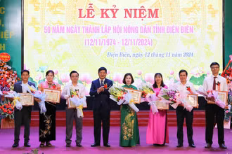 Đồng chí Lê Thành Đô, Chủ tịch Ủy ban nhân dân tỉnh Điện Biên trao Bằng khen tặng các tập thể, cá nhân Hội Nông dân tỉnh có nhiều đóng góp trong các phong trào thi đua phát triển kinh tế-xã hội tại Điện Biên.